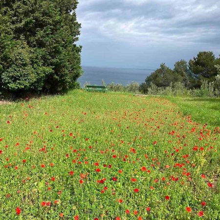 בפורטורוז Istrian Green House מראה חיצוני תמונה