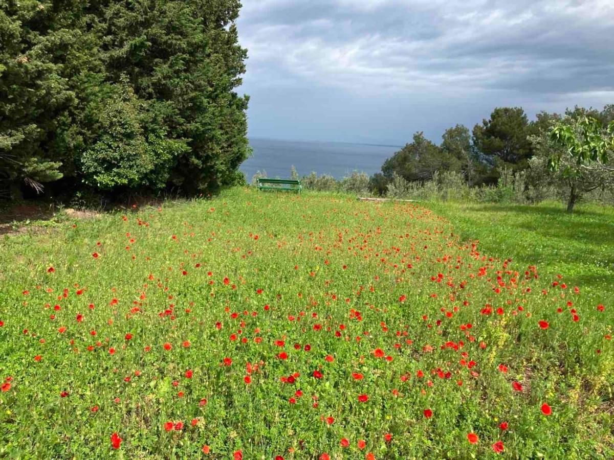 בפורטורוז Istrian Green House מראה חיצוני תמונה