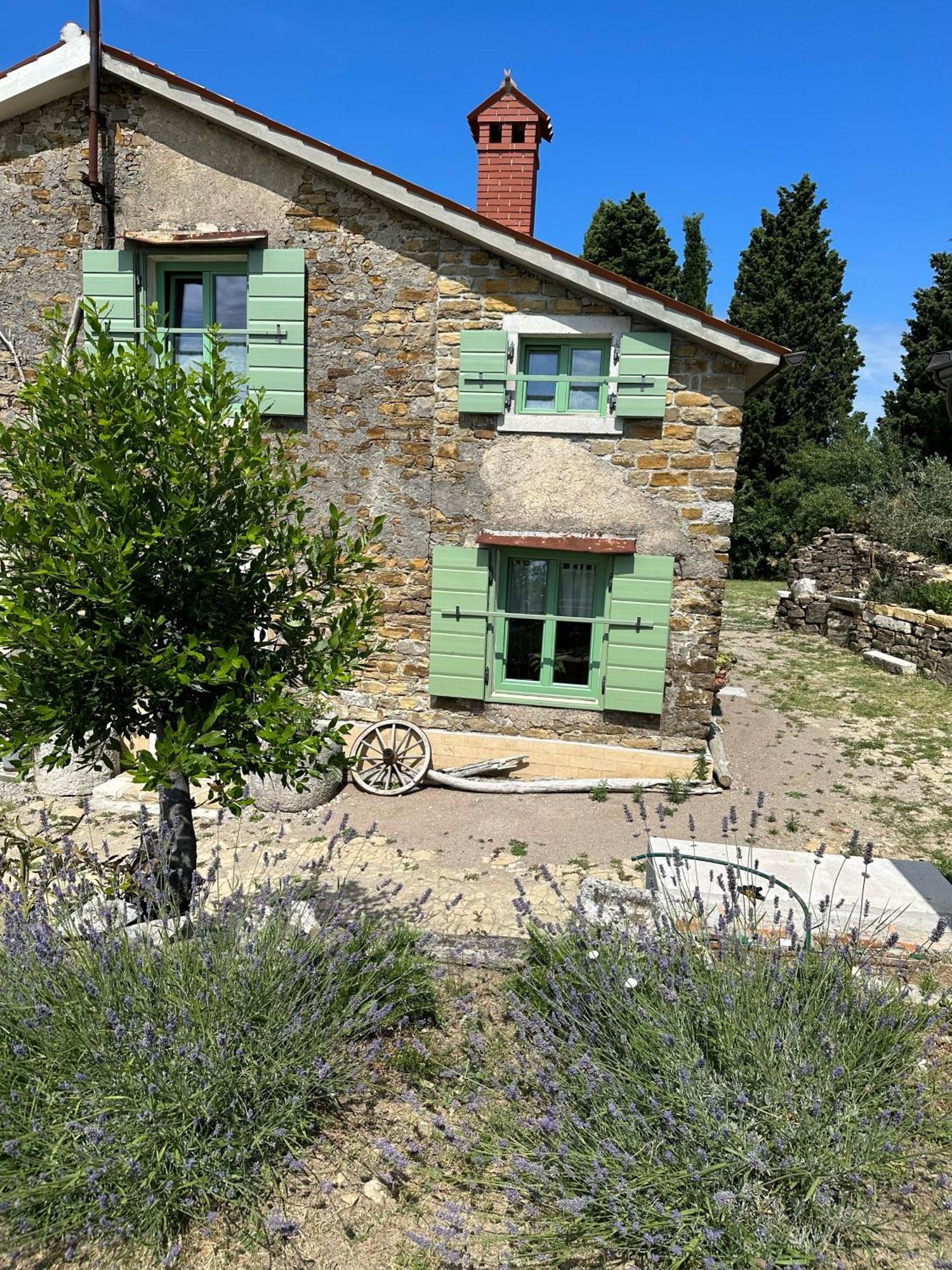 בפורטורוז Istrian Green House מראה חיצוני תמונה